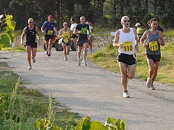 Peloton%20(3).JPG